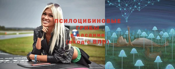 крисы Алзамай