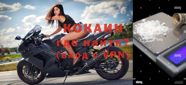 крисы Алзамай