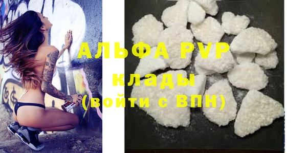 крисы Алзамай